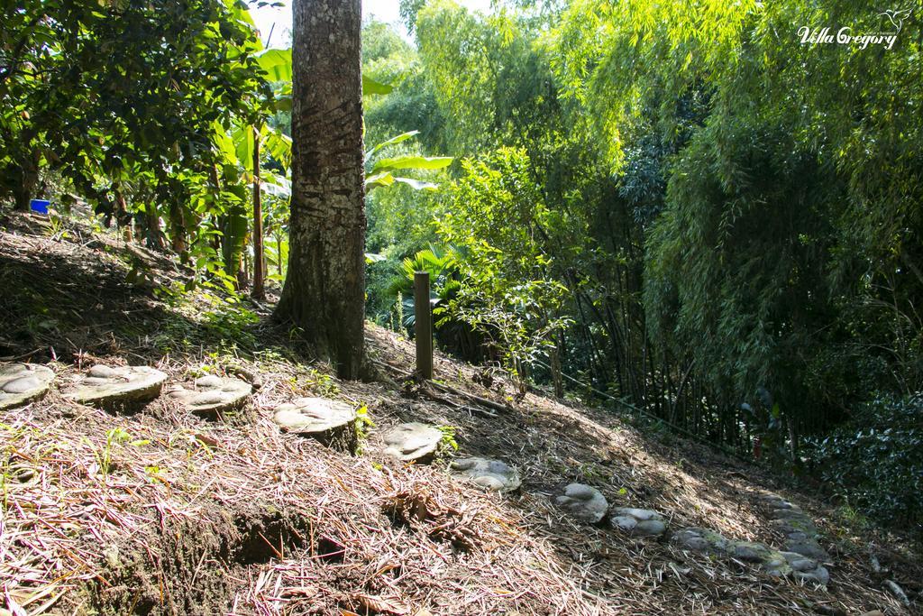 Finca Villa Gregory Quimbaya Exteriér fotografie