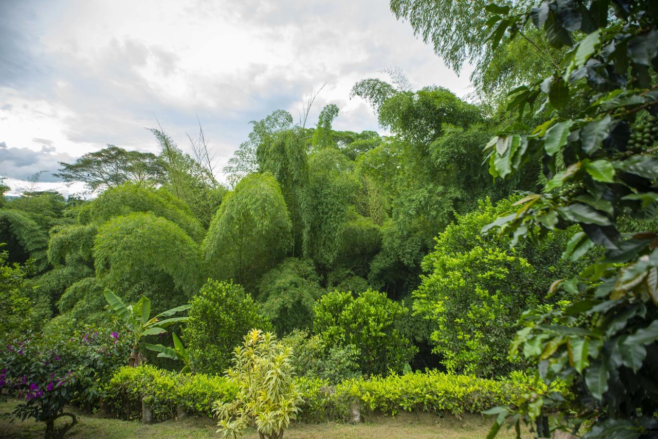 Finca Villa Gregory Quimbaya Exteriér fotografie